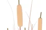 DKD Home Decor Planta de Junco Coral 45x45x145 cm