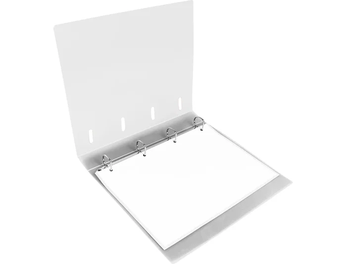 Liderpapel Carpeta con Recambio A4 Transparente con 4 Anillas de 40 mm y 100 Hojas Cuadriculadas