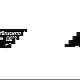 Transcend TS2GUSD Tarjeta MicroSD de 2GB con Velocidades de Lectura/Escritura de 20/13 MB/s