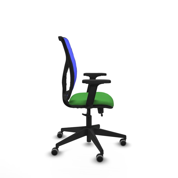 PIQUERAS Y CRESPO Silla de oficina Motilla con mecanismo Sincro/Traslack, Verde y Azul PIQUERAS Y CRESPO Silla de oficina Motilla con mecanismo Sincro/Traslack, Verde y Azul