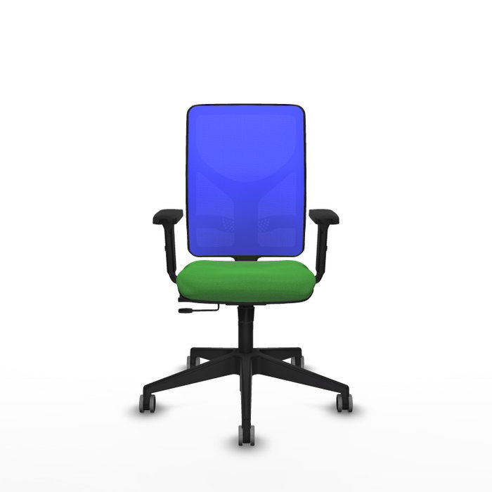 PIQUERAS Y CRESPO Silla de oficina Motilla con mecanismo Sincro/Traslack, Verde y Azul PIQUERAS Y CRESPO Silla de oficina Motilla con mecanismo Sincro/Traslack, Verde y Azul