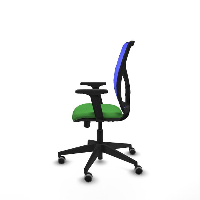 PIQUERAS Y CRESPO Silla de oficina Motilla con mecanismo Sincro/Traslack, Verde y Azul PIQUERAS Y CRESPO Silla de oficina Motilla con mecanismo Sincro/Traslack, Verde y Azul
