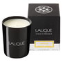 Lalique Vanille Acapulco Mexique Vela aromática