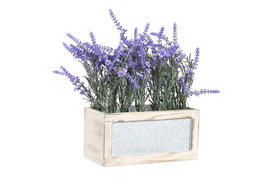 DKD Home Decor Planta de Lavanda Lila