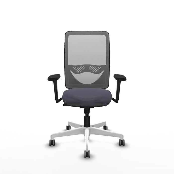 PIQUERAS Y CRESPO Silla de oficina Zulema con mecanismo Sincro, brazos 3D y malla gris PIQUERAS Y CRESPO Silla de oficina Zulema con mecanismo Sincro, brazos 3D y malla gris