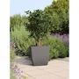 Eda Jardinera DIVA BASALT Gris Antracita Cuadrada 42 L 43,5 x 43,5 x 44,2 cm EDA3086960273408 Caja Interior Extraible