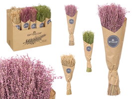 Giftdecor Ramillete Centeno Natural Surtido 10x40x10 cm (Set de 24)