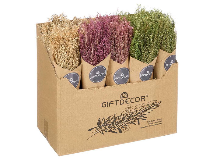 Giftdecor Ramillete Centeno Natural Surtido 10x40x10 cm (Set de 24)
