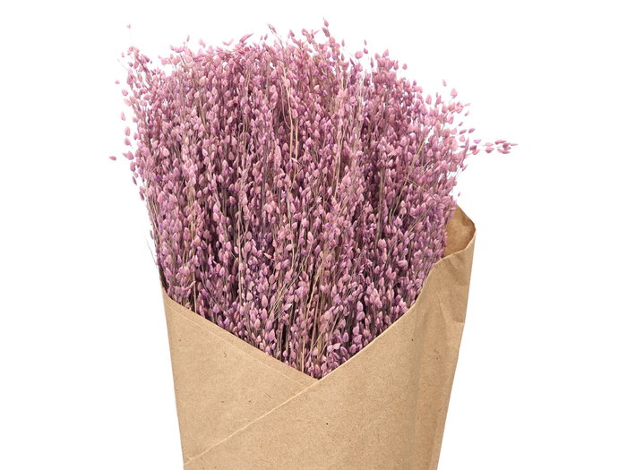 Giftdecor Ramillete Centeno Natural Surtido 10x40x10 cm (Set de 24)