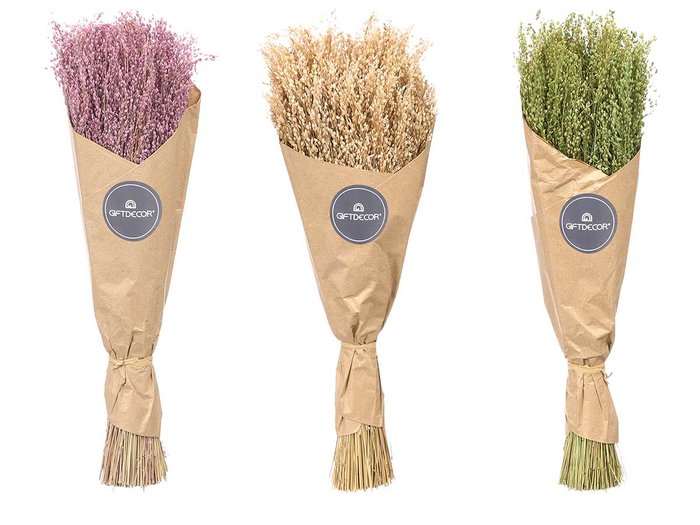 Giftdecor Ramillete Centeno Natural Surtido 10x40x10 cm (Set de 24)