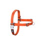 Red Dingo Petral Red Dingo No-Pull L Naranja 25 mm (Set de 10)