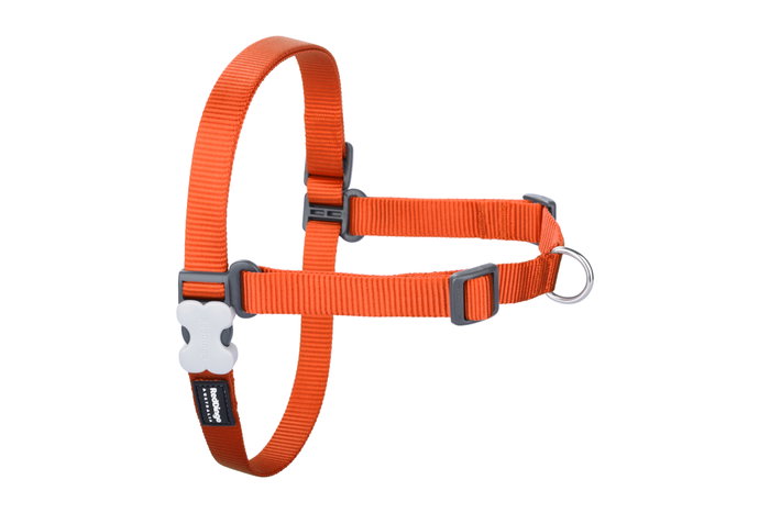 Red Dingo Petral Red Dingo No-Pull L Naranja 25 mm (Set de 10) Red Dingo Petral Red Dingo No-Pull L Naranja 25 mm (Set de 10)