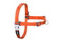 Red Dingo Petral Red Dingo No-Pull L Naranja 25 mm (Set de 10)