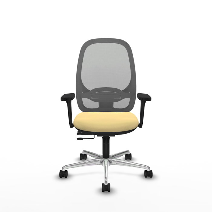 PIQUERAS Y CRESPO Silla de oficina Cilanco con mecanismo Sincro/Traslack, Crema y Gris PIQUERAS Y CRESPO Silla de oficina Cilanco con mecanismo Sincro/Traslack, Crema y Gris