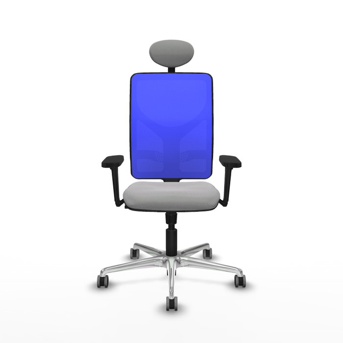 PIQUERAS Y CRESPO Silla de oficina Motilla con mecanismo Sincro, Gris claro y Azul PIQUERAS Y CRESPO Silla de oficina Motilla con mecanismo Sincro, Gris claro y Azul