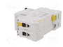 SCHNEIDER ELECTRIC Interruptor magnetotérmico iC60N 2 polos 32A Curva C