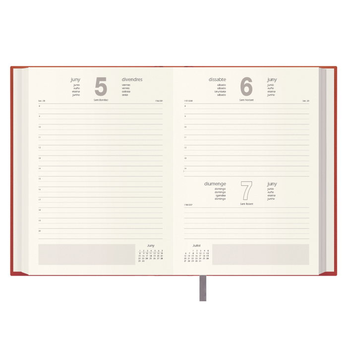 Dohe 12692 - 26 Agenda 2026 Día por Página 14 x 20 cm Rojo Dohe 12692 - 26 Agenda 2026 Día por Página 14 x 20 cm Rojo