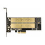 DeLOCK 89630 Tarjeta de interfaz PCIe con 1 x M.2 Key B y 1 x M.2 Key M Low Profile