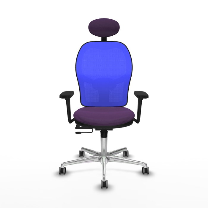PIQUERAS Y CRESPO Silla de oficina Jorquera con mecanismo Sincro/Traslack, morada y azul PIQUERAS Y CRESPO Silla de oficina Jorquera con mecanismo Sincro/Traslack, morada y azul