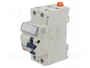GEWISS Interruptor diferencial RCCB IDP 25A 30mA 2 polos