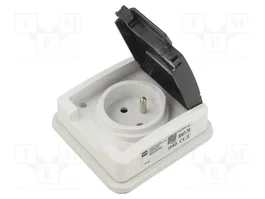 ELEKTRO-PLAST NASIELSK Tomacorriente de alimentación AC 16A 250V AC IP55
