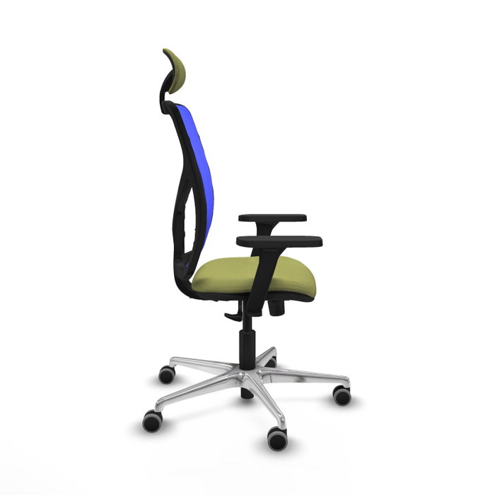 PIQUERAS Y CRESPO Silla de oficina Motilla con mecanismo Sincro, Verde oliva y Azul PIQUERAS Y CRESPO Silla de oficina Motilla con mecanismo Sincro, Verde oliva y Azul