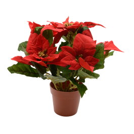 Basics Planta artificial flor de pascua roja ø27x27cm