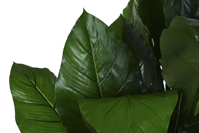 DKD Home Decor Planta Tropical Verde 180 x 80 x 80 cm (2 Unidades)