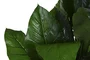DKD Home Decor Planta Tropical Verde 180 x 80 x 80 cm (2 Unidades)