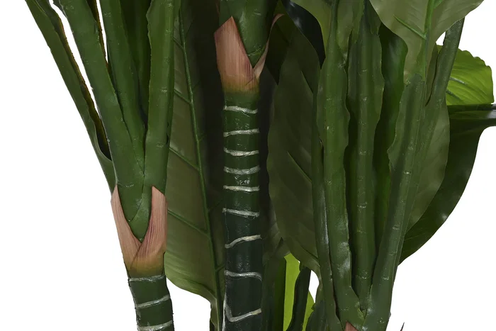 DKD Home Decor Planta Tropical Verde 180 x 80 x 80 cm (2 Unidades)