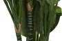 DKD Home Decor Planta Tropical Verde 180 x 80 x 80 cm (2 Unidades)