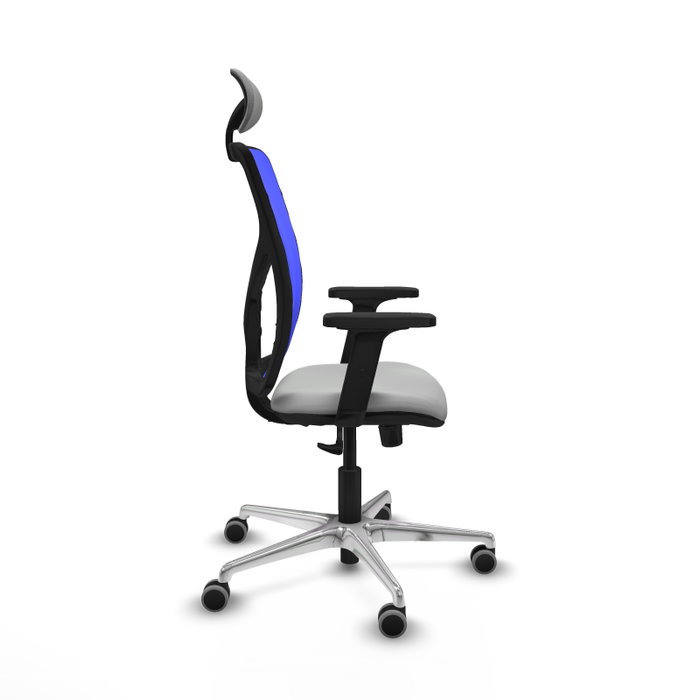 PIQUERAS Y CRESPO Silla de oficina Motilla con mecanismo Sincro, Gris claro y Azul PIQUERAS Y CRESPO Silla de oficina Motilla con mecanismo Sincro, Gris claro y Azul