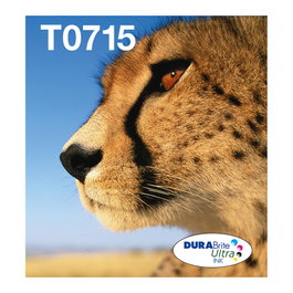 Epson Multipack de tintas T071 Negro, Cian, Magenta y Amarillo