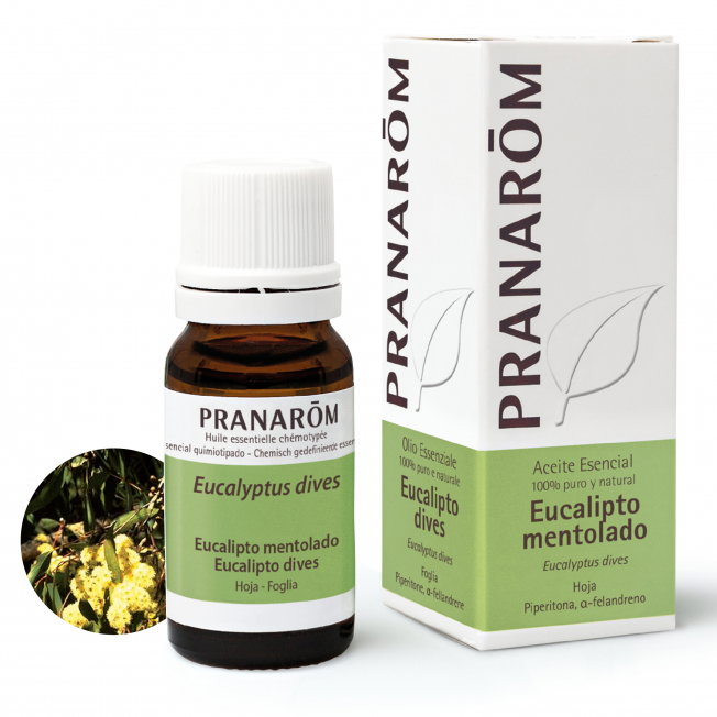 PRANAROM Eucalipto mentolado aceite esencial 10ml PRANAROM Eucalipto mentolado aceite esencial 10ml