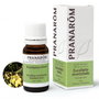 PRANAROM Eucalipto mentolado aceite esencial 10ml