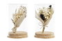 DKD Home Decor Decoración de Flor Seca y Cristal 10x10x15,5 cm Surtido 2