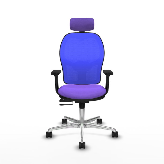 PIQUERAS Y CRESPO Silla de oficina Jorquera con mecanismo Sincro/Traslack, Tela Lila y Malla Azul PIQUERAS Y CRESPO Silla de oficina Jorquera con mecanismo Sincro/Traslack, Tela Lila y Malla Azul