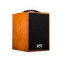 GR GUITAR Amplificador Combo Acústica Wd8 140W