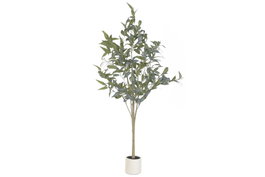 DKD Home Decor Árbol de Eucalipto Desmontable 50x50x180 cm