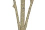 DKD Home Decor Árbol de Eucalipto Desmontable 50x50x180 cm