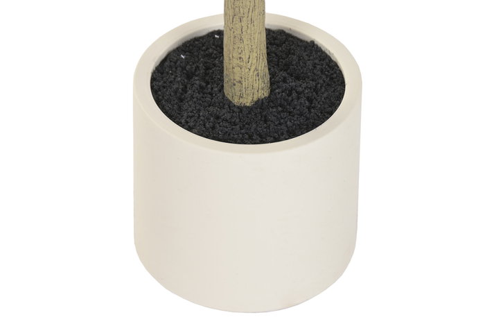 DKD Home Decor Árbol de Eucalipto Desmontable 50x50x180 cm