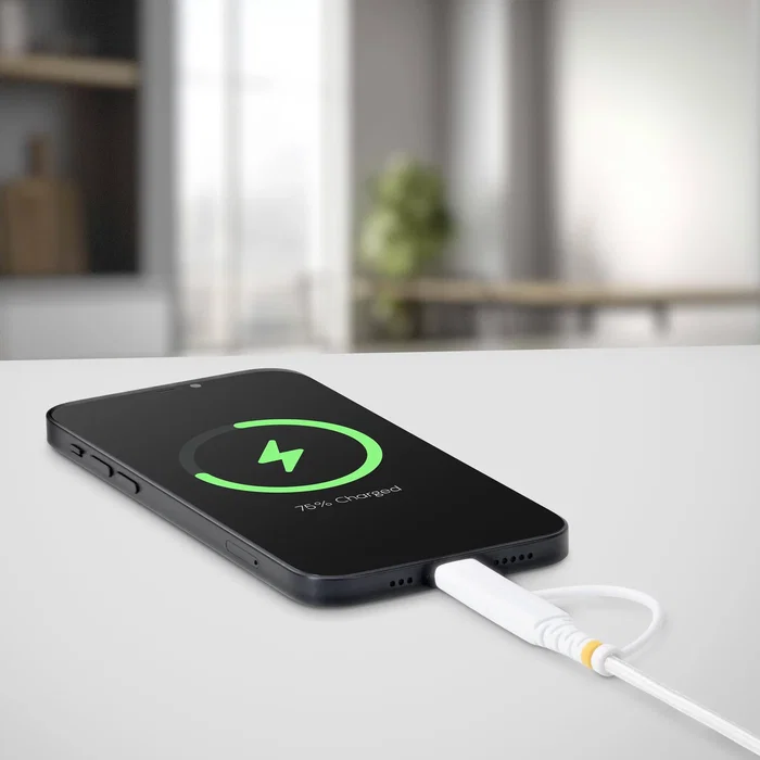 Startech Cable de carga USB-C de 2m Startech Cable de carga USB-C de 2m