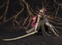 Bandai Tamashii Nations S.H. Figuarts Malenia Blade of Miquella Elden Ring 19 cm