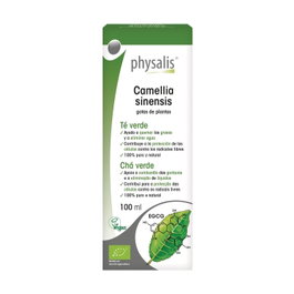 Physalis Extracto de Té Verde 100 ml - Gotas Bio para Adelgazar, Quemar Grasas y Eliminar Agua