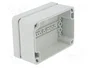 FIBOX EURONORD Carcasa Universal Gris