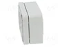 FIBOX EURONORD Carcasa Universal Gris