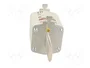 ETI POLAM Fusible NH2 de Cartucho 231A 400VAC