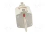 ETI POLAM Fusible NH2 de Cartucho 231A 400VAC