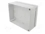 ELEKTRO-PLAST NASIELSK Carcasa Industrial Universal Gris IP65 IK07