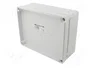 ELEKTRO-PLAST NASIELSK Carcasa Industrial Universal Gris IP65 IK07